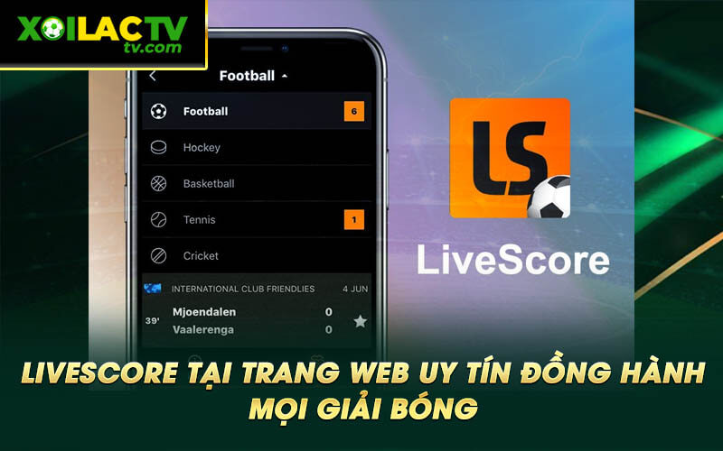 Livescore tai trang web uy tin dong hanh moi giai bong Livescore tại trang web uy tín đồng hành mọi giải bóng