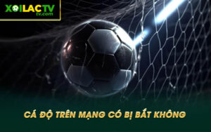 Ca do tren mang co bi bat khong Cá độ trên mạng có bị bắt không