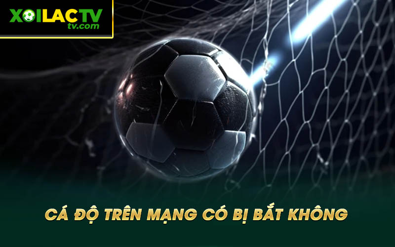 Ca do tren mang co bi bat khong Cá độ trên mạng có bị bắt không