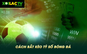 Cach bat keo ty so bong da Cách Bắt Kèo Tỷ Số Bóng Đá
