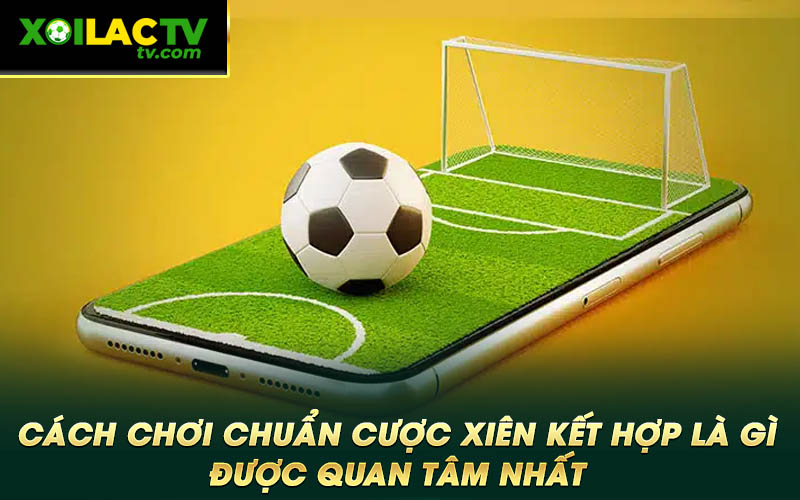 Cach choi chuan cuoc xien ket hop la gi duoc quan tam nhat Cách chơi chuẩn cược xiên kết hợp là gì được quan tâm nhất