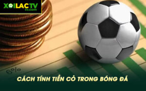 Cach tinh tien co trong bong da Cách tính tiền cỏ trong bóng đá