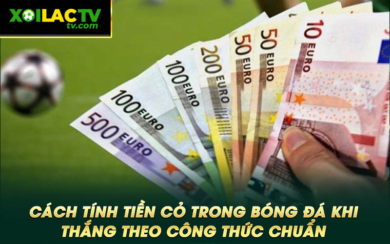 Cach tinh tien co trong bong da khi thang theo cong thuc chuan Cách tính tiền cỏ trong bóng đá khi thắng theo công thức chuẩn