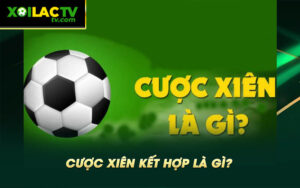 Cuoc xien ket hop la gi Cược xiên kết hợp là gì