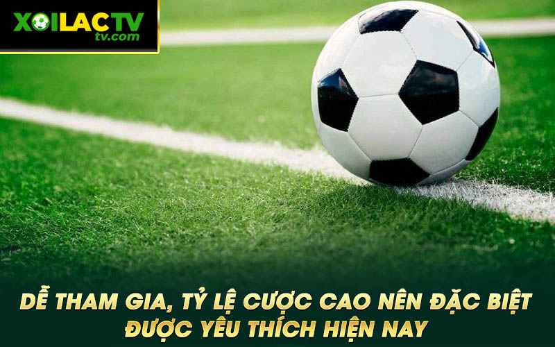 De tham gia ty le cuoc cao nen dac biet duoc yeu thich hien nay Dễ tham gia, tỷ lệ cược cao nên đặc biệt được yêu thích hiện nay