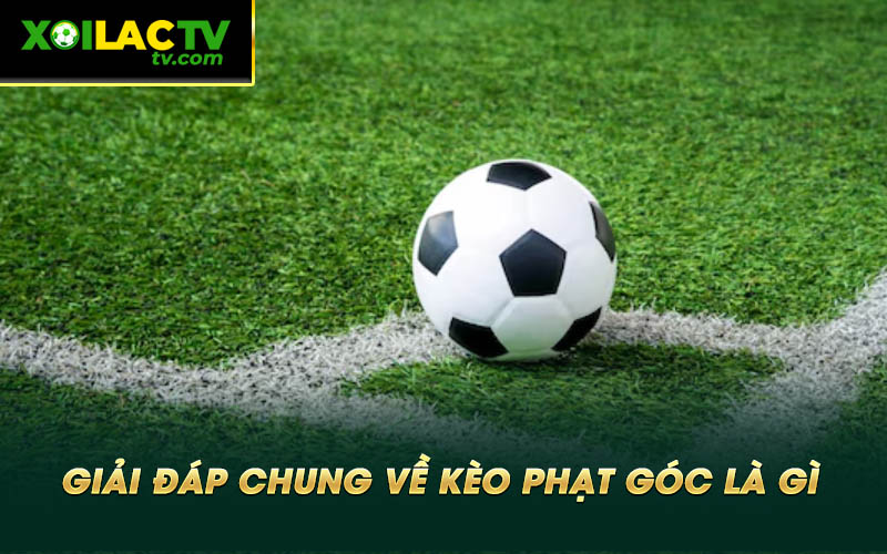 Giai dap chung ve keo phat goc la gi Giải đáp chung về kèo phạt góc là gì