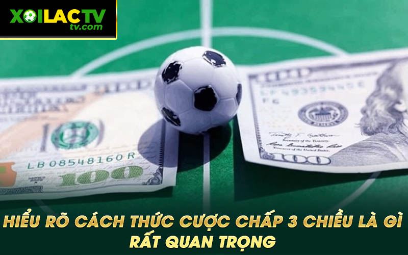 Hieu ro cach thuc cuoc chap 3 chieu la gi rat quan trong Hiểu rõ cách thức cược chấp 3 chiều là gì rất quan trọng