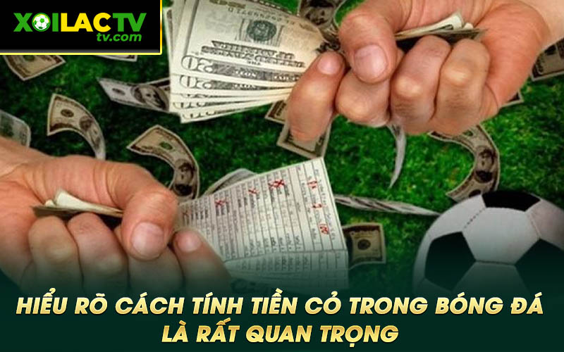 Hieu ro cach tinh tien co trong bong da la rat quan trong Hiểu rõ cách tính tiền cỏ trong bóng đá là rất quan trọng