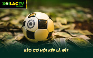 Keo co hoi kep la gi Kèo cơ hội kép là gì