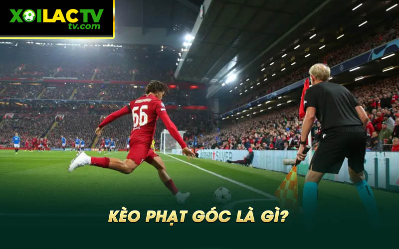 Keo phat goc la gi Kèo phạt góc là gì