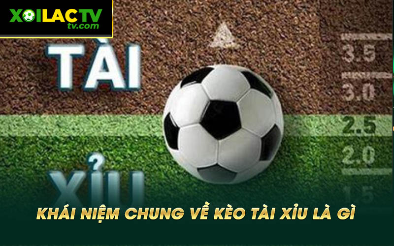 Khai niem chung ve keo tai xiu la gi Khái niệm chung về kèo tài xỉu là gì