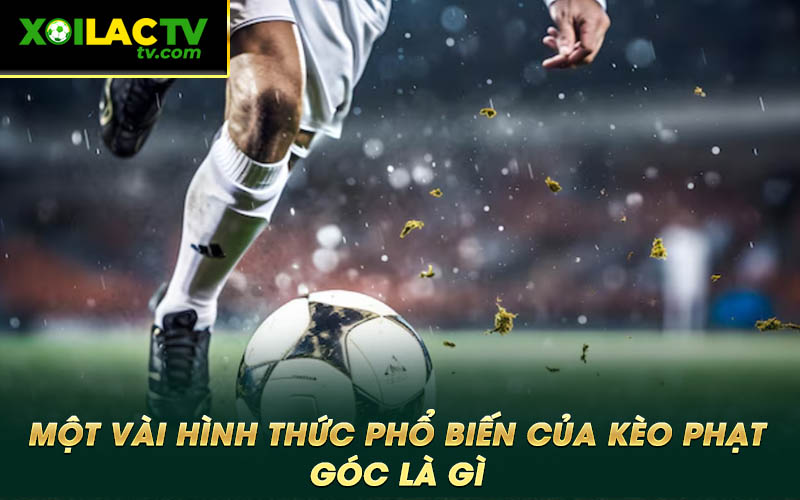 Mot vai hinh thuc pho bien cua keo phat goc la gi Một vài hình thức phổ biến của kèo phạt góc là gì
