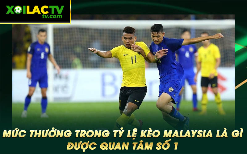 Muc thuong trong ty le keo Malaysia la gi duoc quan tam so 1 Mức thưởng trong tỷ lệ kèo Malaysia là gì được quan tâm số 1