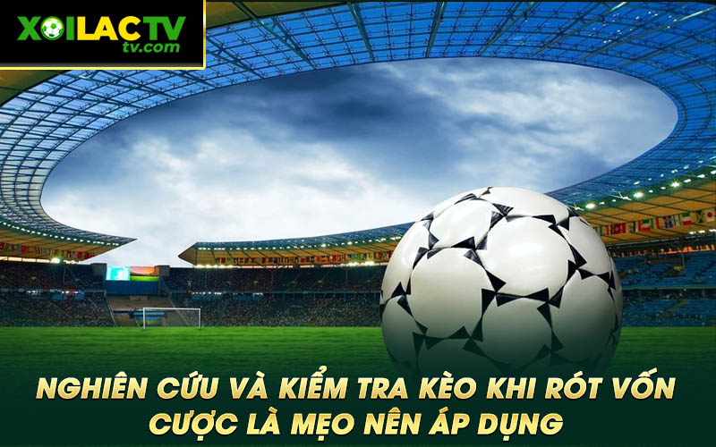 Nghien cuu va kiem tra keo khi rot von cuoc la meo nen ap dung Nghiên cứu và kiểm tra kèo khi rót vốn cược là mẹo nên áp dụng