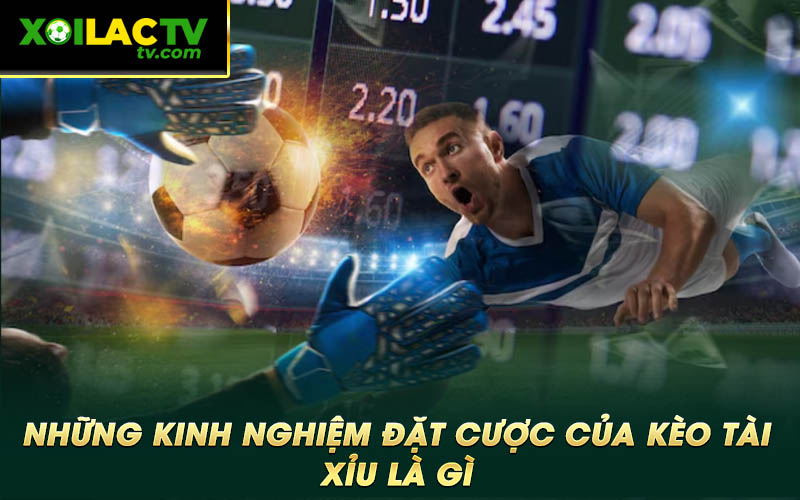 Nhung kinh nghiem dat cuoc cua keo tai xiu la gi Những kinh nghiệm đặt cược của kèo tài xỉu là gì