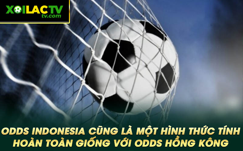 Odds Indonesia cung la mot hinh thuc tinh hoan toan giong voi Odds Hong Kong Odds Indonesia cũng là một hình thức tính hoàn toàn giống với Odds Hồng Kông