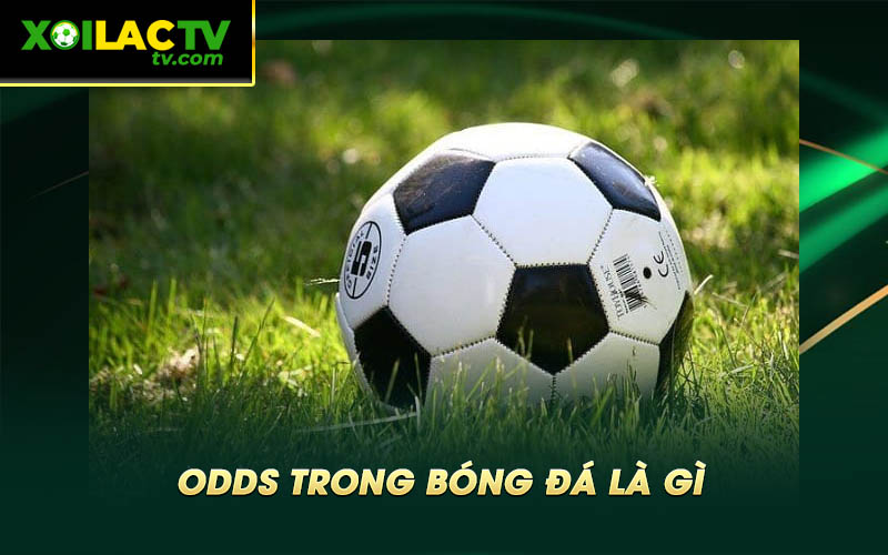 Odds trong bong da la gi Odds Trong Bóng Đá Là Gì