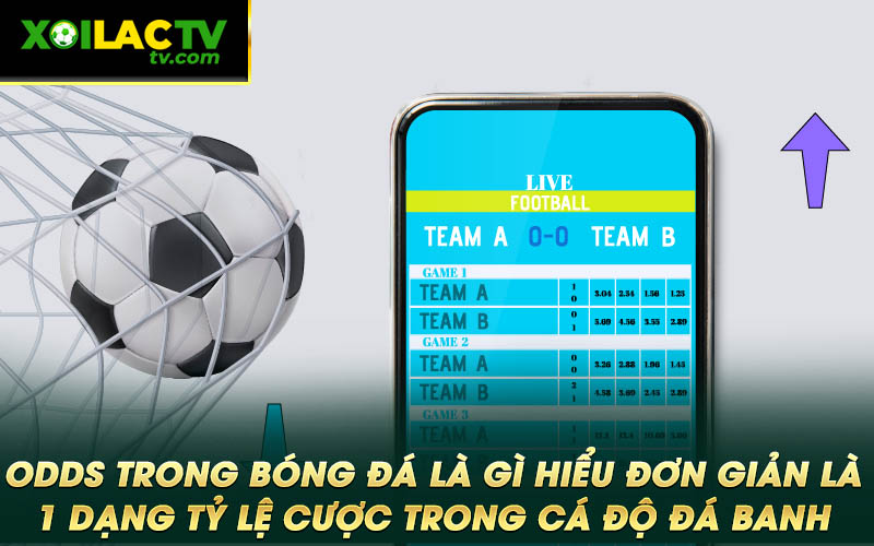 Odds trong bong da la gi hieu don gian la 1 dang ty le cuoc trong ca do da banh Odds trong bóng đá là gì hiểu đơn giản là 1 dạng tỷ lệ cược trong cá độ đá banh