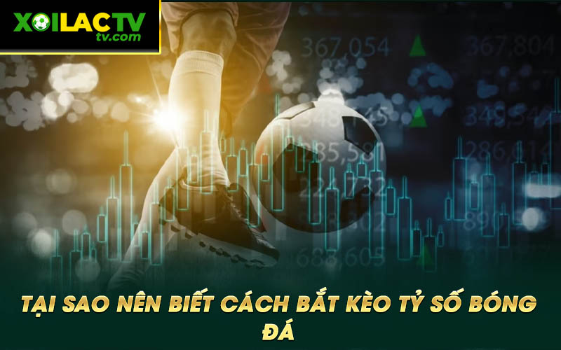 Tai sao nen biet cach bat keo ty so bong da Tại sao nên biết cách bắt kèo tỷ số bóng đá