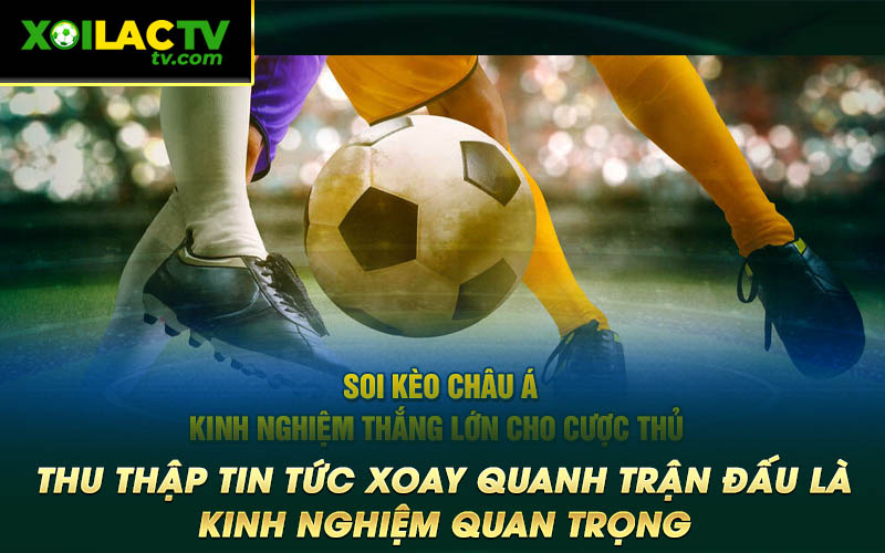 Thu thap tin tuc xoay quanh tran dau la kinh nghiem quan trong Thu thập tin tức xoay quanh trận đấu là kinh nghiệm quan trọng