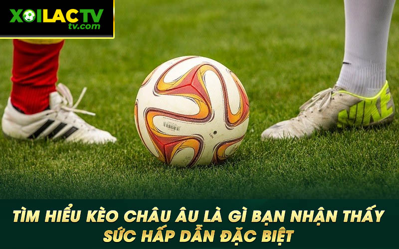 Tim hieu keo chau Au la gi ban nhan thay suc hap dan dac biet Tìm hiểu kèo châu Âu là gì bạn nhận thấy sức hấp dẫn đặc biệt
