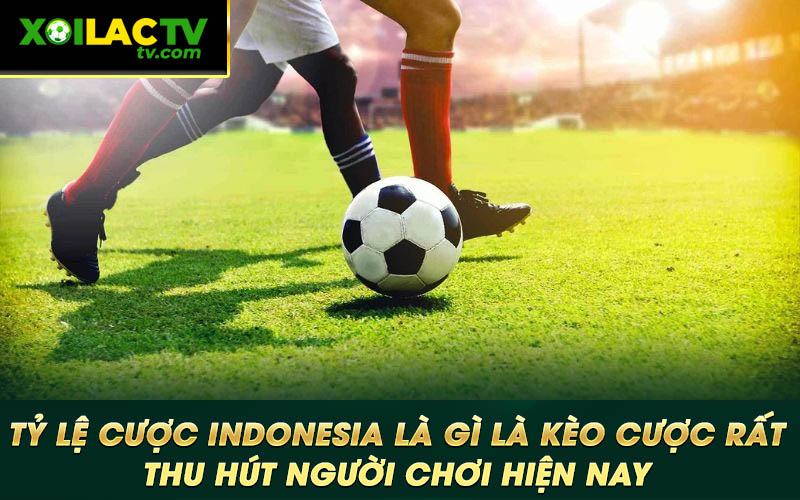 Ty le cuoc Indonesia la gi la keo cuoc rat thu hut nguoi choi hien nay Tỷ lệ cược Indonesia là gì là kèo cược rất thu hút người chơi hiện nay