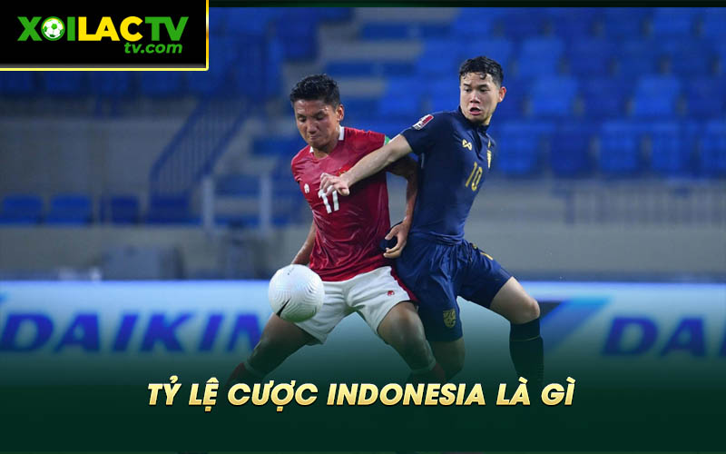Ty le cuoc Indonesia la gi Tỷ Lệ Cược Indonesia