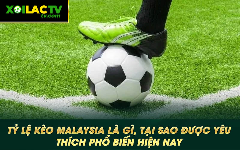 Ty le keo Malaysia la gi tai sao duoc yeu thich pho bien hien nay Tỷ lệ kèo Malaysia là gì, tại sao được yêu thích phổ biến hiện nay