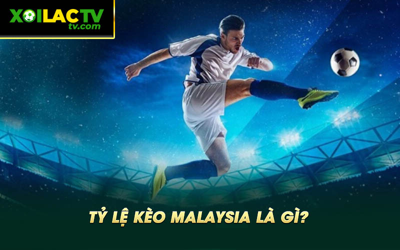 Ty le keo Malaysia la gi Tỷ Lệ Kèo Malaysia